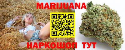 спиды Канаш
