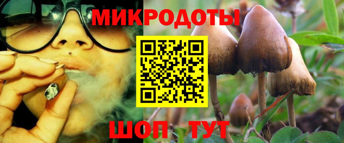 Галлюциногенные грибы Psilocybine cubensis Людиново
