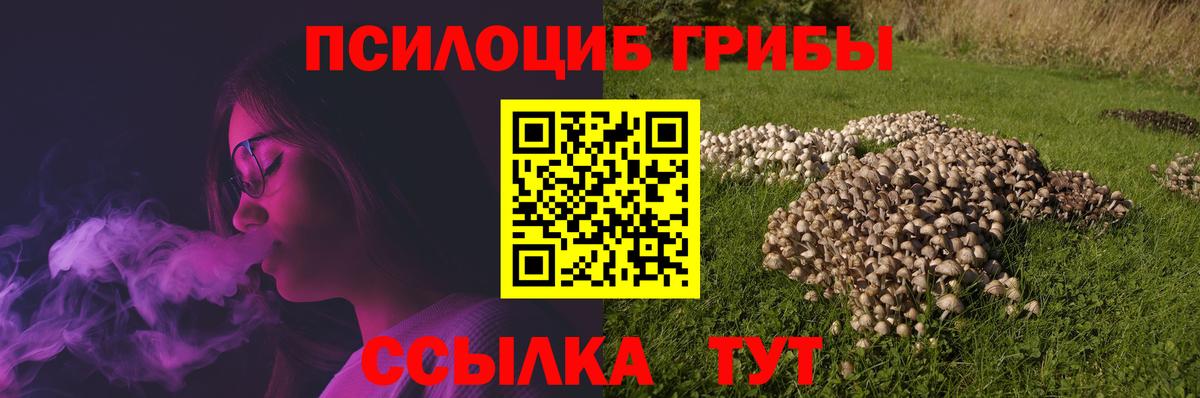 Псилоцибиновые грибы Psilocybe  Вход с VPN  Людиново 